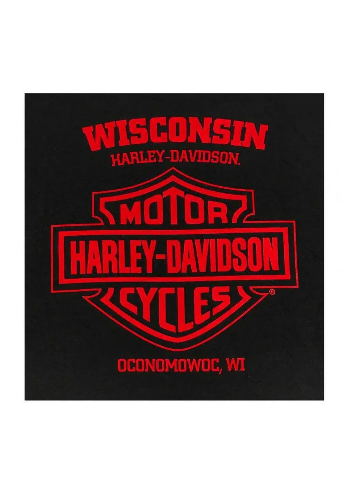 Harley-Davidson Hommes Bike Shine manches courtes col rond T-Shirt - Noir 30292385