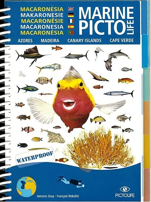 PICTO MACARONESIA