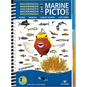 PICTO MACARONESIA