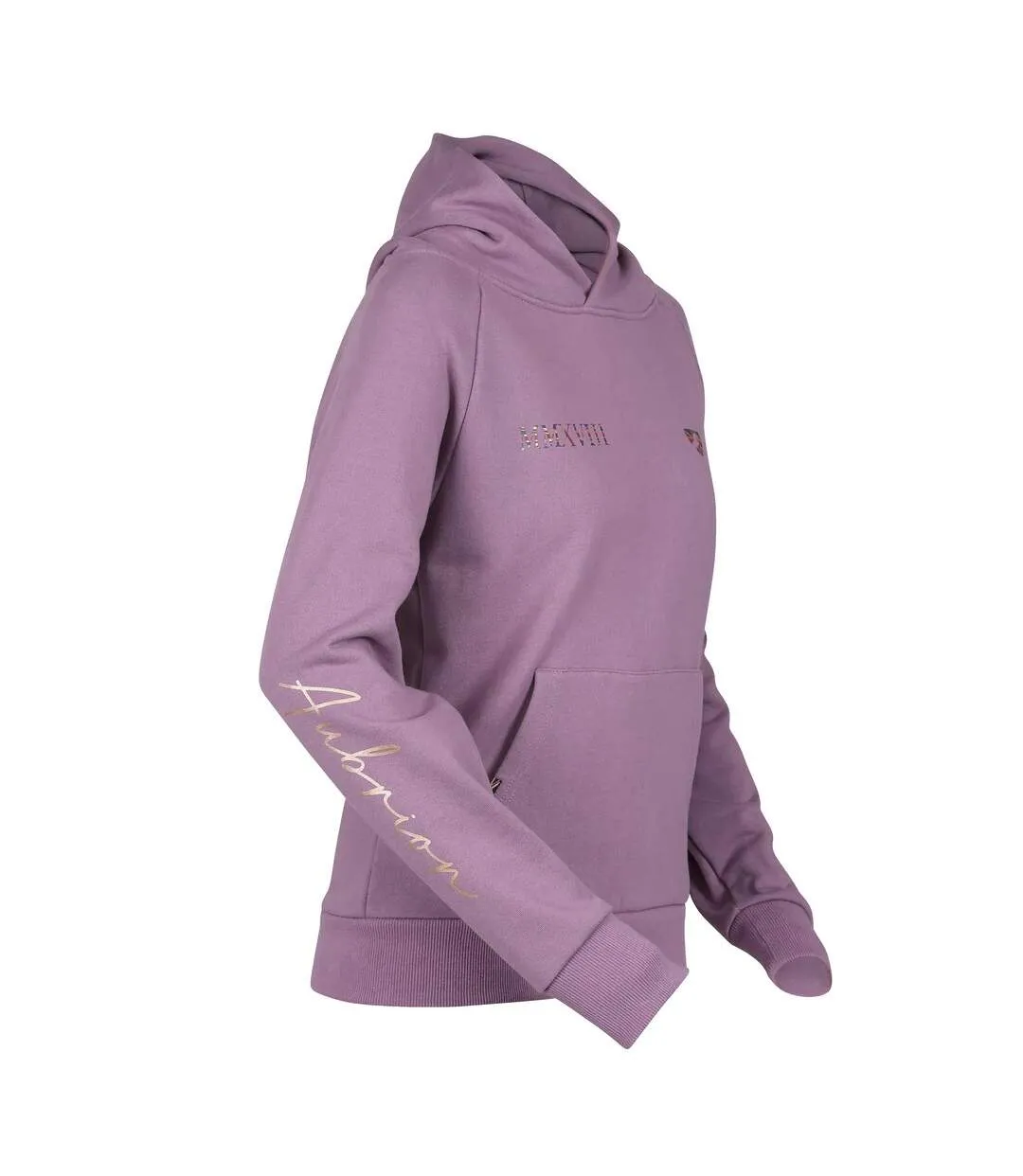 Sweat à capuche team adulte mauve Aubrion